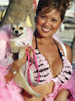 Pet Masquerade and Parade 2005 photo - Duval Street, Key West